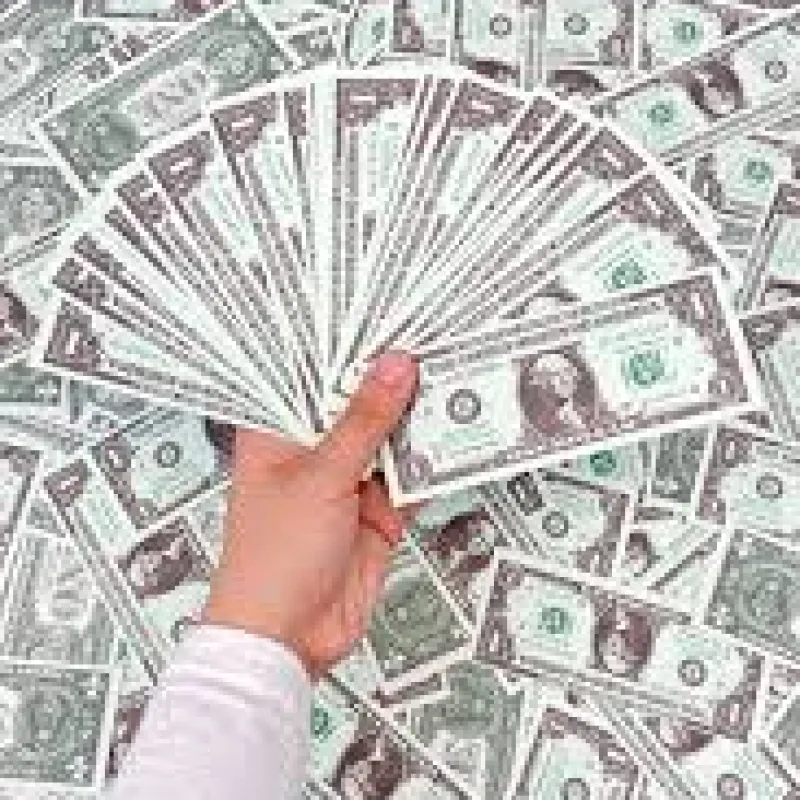 DÜĞÜN PARASI DOLAR TOPLU BALYA